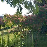 Bed & Breakfast Au Soleil Couchant 3*
