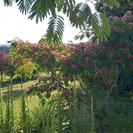Bed & Breakfast Au Soleil Couchant 3*