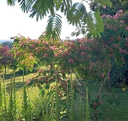 Bed & Breakfast Au Soleil Couchant Saint-Julien-de-Lampon